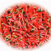 供应辣椒碱