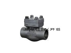 锻钢内螺纹止回阀，上海开兹阀门图1