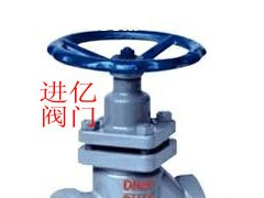 內螺纹柱塞阀—进亿柱塞阀—【德国阀门】图1