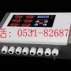 煤气泄漏报警器/RBK系列