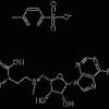供应 S-腺甘基蛋氨酸，CAS# 17176-17-9