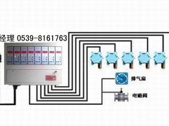 煤气泄漏检测仪0539-8161763图1