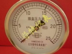 北京普特专业生产YE100/150膜盒压力表