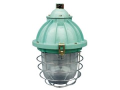 石家庄保定远达防爆灯图1