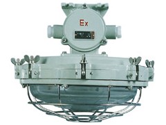 湖南长沙岳阳衡阳常德远达防爆电气防爆环形荧光灯图1