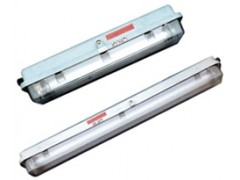 湖南吉首张家界怀化永州远达防爆电气防爆防腐全塑荧光灯图1