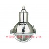 供应BAD56系列不锈钢防爆防腐灯