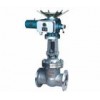 电动闸阀