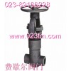 自密封闸阀Z61Y~重庆费歇尔阀门