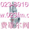 弹簧式外螺纹安全阀~重庆费歇尔阀门