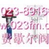 内装式安全阀……重庆费歇尔阀门