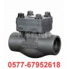 锻钢止回阀