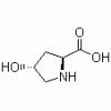 L-羟基脯氨酸