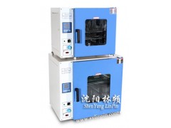 沈阳林频电热鼓风干燥箱,质量可靠现货供应图1