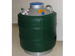YDS-30B液氮罐(运输贮存两用式)图1