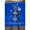 TFD-5L双层玻璃反应釜 双层玻璃反应仪价格
