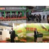 德国金引擎润滑油隆重亮相第十二届中国国际润滑油展会