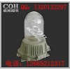 NFC9180 NFC9180电厂三防顶灯
