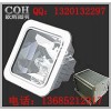 NFE9100-NFE9100应急防眩顶灯