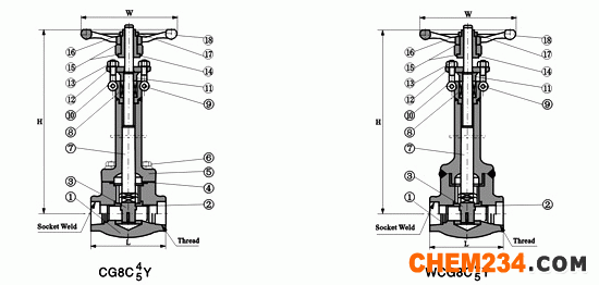 锻钢低温闸阀800Lb剖面图