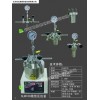 100ml微型平行高压反应釜，微型磁力高压反应釜
