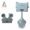 防爆应急灯BAJ52-20W防爆双头应急灯LED20W