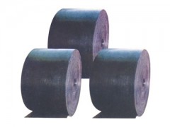 尼龙、聚脂输送带图1