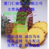 菠萝蛋白酶，福建菠萝蛋白酶生产商，厦门哪里有菠萝蛋白酶