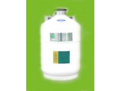 液氮罐（储存式）液氮容器YDS-6