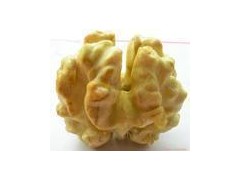 核桃仁提取物图1