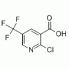 2-氯-5-三氟甲基烟酸