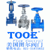 进口闸阀-美国图尔阀门中国有限公司
