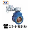 供应DYQ940电动偏心半球阀 主营球阀  上海球阀