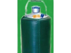 东亚液氮罐储存式液氮生物容器YDS-10