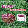 使它隆除草剂美国陶氏益农出品水花生除草剂田旋花除草剂