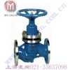 J48Y柱塞截止阀