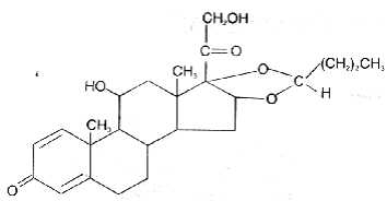 大量供应布地奈德