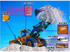 供应九江电子铲车秤，铲车电子秤图1