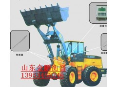供应蓬莱的在装载机电子称，装载机电子称图1