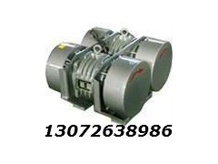 WHZY-2*30-6直线自振源连体电机 WZZJ激振器