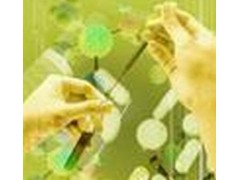 正丁醛苯胺缩合物CAS:6841-20-1图2