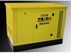 大功率汽油发电机|30千瓦380v汽油发电机批发图1