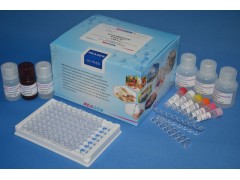 大肠杆菌O157:H7酶联免疫反应测试盒