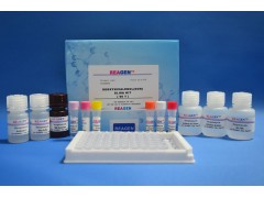 氨基糖苷类联免疫反应测试盒