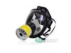 恒源802球型大视野防毒面具+E型7号滤毒罐图1