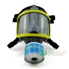 恒源901全面罩+恒源H2S型8号滤毒罐