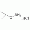 O-叔丁基羟胺出现被限制词语  39684-28-1