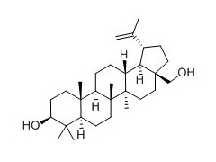 白桦脂醇性质   白桦脂醇供应