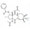 供应千金子二萜醇二乙酰苯甲酰酯