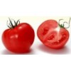 供应番茄红素Lycopene